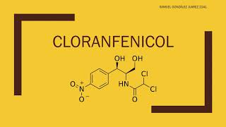 CLORANFENICOL [upl. by Imarej]