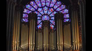 Johann Sebastian Bach Passacaglia BWV 582 quotà la NotreDamequot Miklós ÁRPÁS organ [upl. by Terrag]