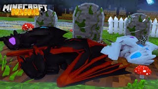 ALL THE NIGHTFURY DRAGONS ARE DEAD FIRE NATION ATTACK  Minecraft Dragons [upl. by Lavro]