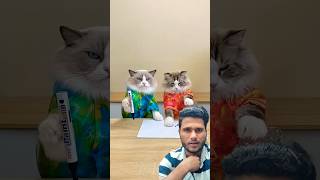 “Amazing New Tech Tools for Your Home 🏠 2024 Edition” cat catfilter catwatch smartcats catm [upl. by Idna]