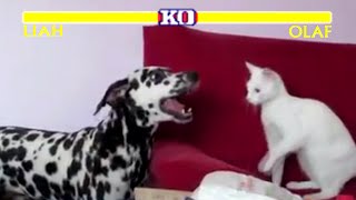 Cat vs dog  cat and dog fight for burger🍔🤣 cat dog brothersfight viralshort cartoon [upl. by My]