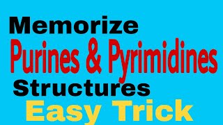 Purine amp Pyrimidine Structures  Easy way to memorize [upl. by Obnukotalo336]