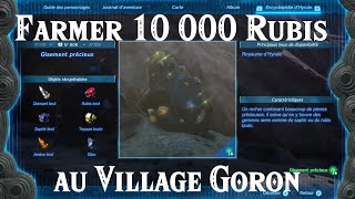 Zelda TotK  Farmer 10 000 Rubis au village Goron [upl. by Bumgardner809]