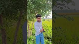 Tore Bap ke ho comedy 😂😂shorts funny youtubeshorts comedy [upl. by Lledrev]