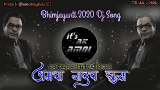 Aamcha Nadach Khula DJ  💙आमचा नादच खुळा DJ💙  Its AK Amol  2020 New Jay Bhim Song Dj [upl. by Bradski]