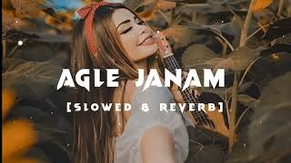 Agle Janam  Slowed And Reverb  Rishi Roy  Lofi Music  8d Audio  aglejanamrishiroylofimusic [upl. by Noryahs]