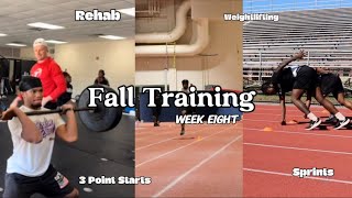 Day in the Life as a Track Athlete  Fall Training  Week Eight [upl. by Enidlareg]