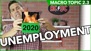 Unemployment Macro Topic 23 [upl. by Ahsoem]