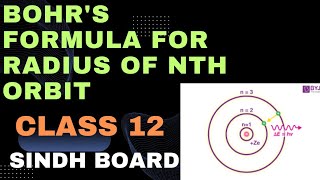 radius of Bohrs nth orbit  atomic physics  class 12  derivation  sindh board [upl. by Hsekar]