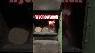 Wychowanek TVN Rotacyjny Marszałek [upl. by Goldsmith]