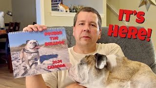 Reuben the Bulldog Reuben the Bulldog 2024 Charity Calendar Unboxing [upl. by Nahshunn87]