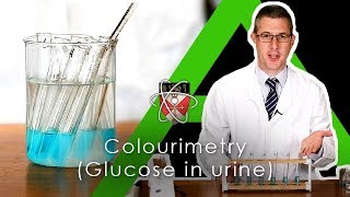 Colourimetry testing for glucose in urine  Biology Alevel Required Practical [upl. by Newmann783]