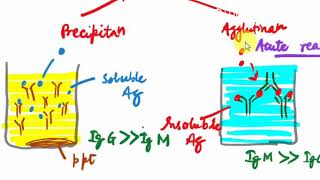 Microbiology  10  IMM  ANTIGEN ANTIBODIES REACTIONS Immunology [upl. by Toh968]