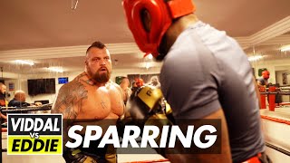 VIDDAL RILEY VS EDDIE HALL  FULL SPARRING VIDEO [upl. by Leisha]