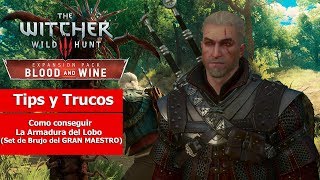 The Witcher III  Tips y Trucos  Como conseguir La Armadura del Lobo Set de Brujo GRAN MAESTRO [upl. by Eyram]