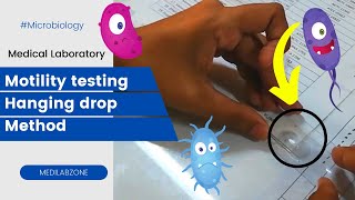 Motility Test Microbiology  Hanging Drop Method Bacterial Identification Test [upl. by Attenehs]