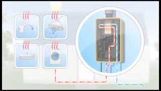 Rinnai Tankless Water Heater How It Works [upl. by Emelia778]