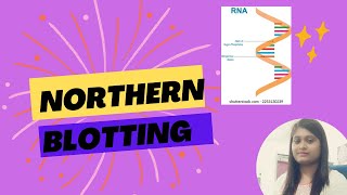 Northern Blotting [upl. by Wallas]