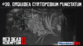 Localización múltiple Orquidea Cyrtopodium Punctatum  32Compendio Plantas  Red dead redemption 2 [upl. by Aleusnoc]