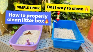 MessFree Cat Litter Scooping Techniques You Should Try  How to scoop cat litter [upl. by Kendell896]