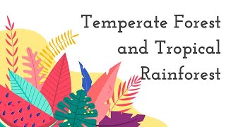 Temperate Forest and Tropical Rainforest [upl. by Jemina]