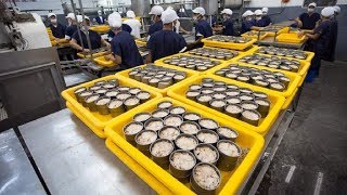 How it made Canned Tuna processing line in Factory [upl. by Rodriguez]