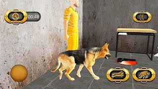 Police Crazy Dog Police Dog Attack Prison Break  Gameplay Android and IOS [upl. by Ahsiad619]