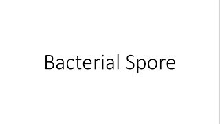 Bacterial Spore  Microbiology [upl. by Ailaroc]