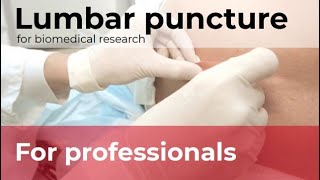 Lumbar puncture technique to collect cerebrospinal fluid for biomedical research [upl. by Cadal893]