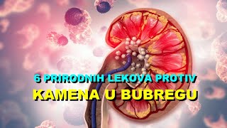 6 PRIRODNIH LEKOVA PROTIV KAMENA U BUBREGU [upl. by Andris]