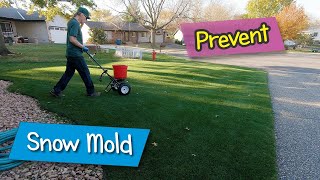 How to prevent snow mold damage [upl. by Ecnahc212]