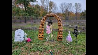 Zoo Boo Slideshow NEW Zoo Suamico WI 101224 [upl. by Ayihsa]