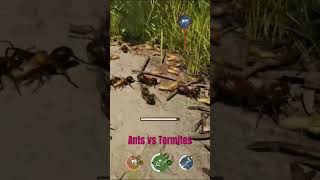 Ants 🐜 vs Termites Who Will Rule the Empire 🏰🌍 Epic Showdown Awaits 🔥 [upl. by Laurence386]