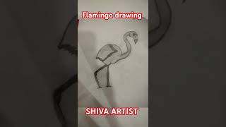 Flamingo drawing shotvideo ytshorts  SHIVA ARTIST [upl. by Nilla682]