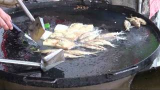 China Fast Food  Fast Chinese Cooking Frying Fish in Kaiping China Hoiping [upl. by Essirahs24]