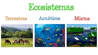 🌎 Los ECOSISTEMAS y sus TIPOS 🐝 Fácil y Rápido  BIOLOGÍA [upl. by Nnylarak]