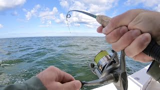 Inshore Saltwater Fishing Outer Banks NC [upl. by Eibocaj]