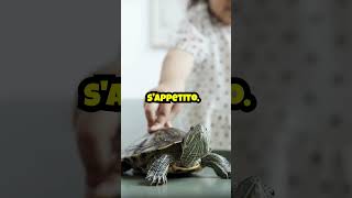 Dieta Quotidiana per Tartarughe shorts tartarughe turtles [upl. by Kerianne]