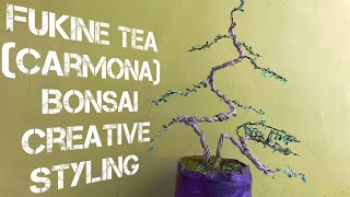 Fukine teaCarmonaWiring and Shaping how to shape a bonsaiBonsai tutorial தமிழில் SreeBonsaiZone [upl. by Doug41]