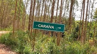 Caraíva 2024 [upl. by Apur617]