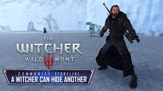 The Witcher 3 A Witcher Can Hide Another A Community Storyline Spoilers Alert [upl. by Immas]