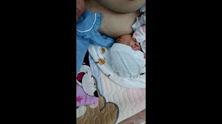 How to Clear Clogged Milk Ducts for Single Mom  Breastfeeding  Merry Z [upl. by Aniraad164]