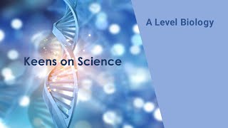 Investigating Antibiotics [upl. by Yssac]