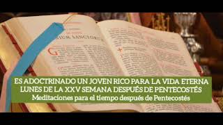 ES ADOCTRINADO UN JOVEN RICO PARA LA VIDA ETERNA LUNES DE LA XXV SEMANA DESPUÉS DE PENTECOSTÉS [upl. by Jeth246]