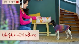 Colorful dog sweaters from WOLTERS [upl. by Aihsekan]