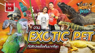 Exotic Pet ที่มีสัตว์แรร์ไอเทมมากที่สุด l เพื่อนรักสัตว์เอ๊ย Ep56 [upl. by Jobe]