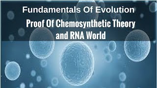 Proof Of Chemosynthetic Theory RNA World [upl. by Benedicta220]