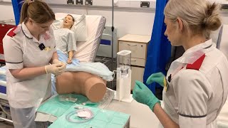 Catheterisation simulation with MSc Nursing students [upl. by Sidney]