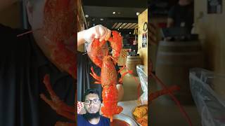 lobster catching and cooking lobster lasvegas foodchallenge shorts [upl. by Oinegue409]