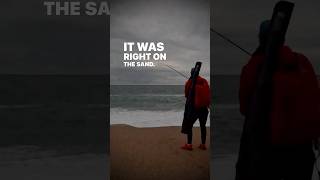 Beach Fishing for Sea Bass  Out For A Cast seabass [upl. by Goldia]